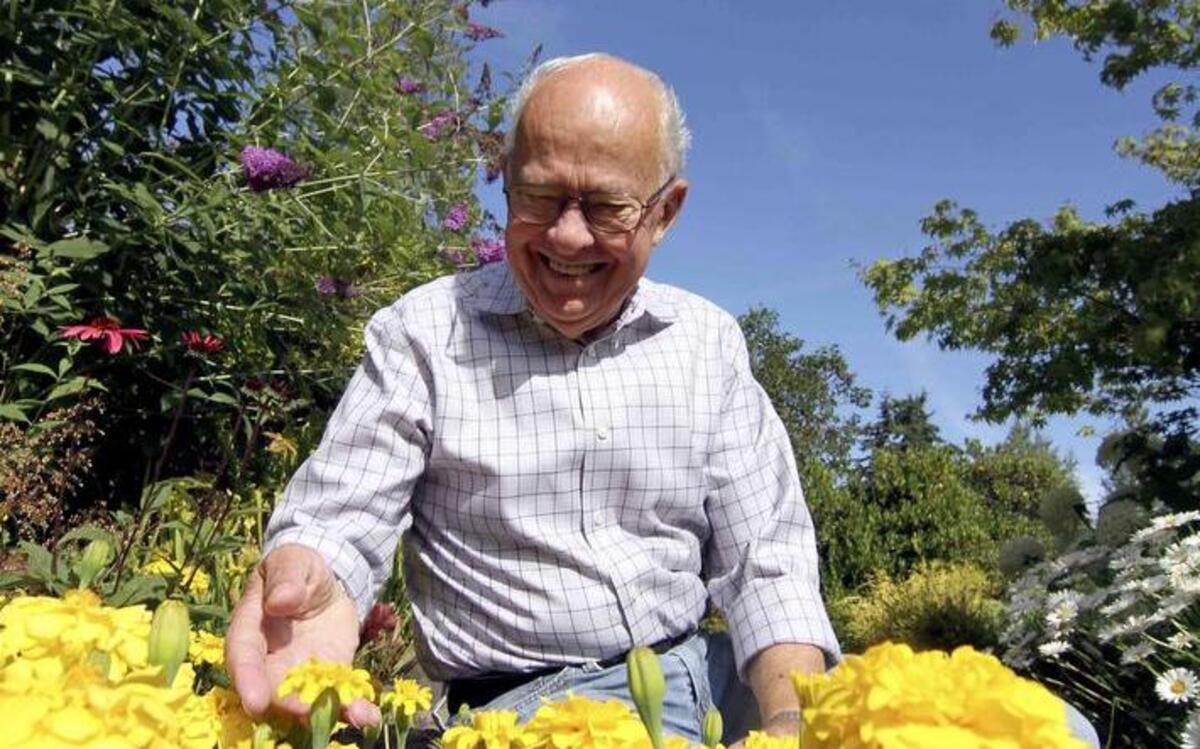
Master gardener and area television personality Ed Hume looks over some of his marigolds at his Puyallup business last week.
