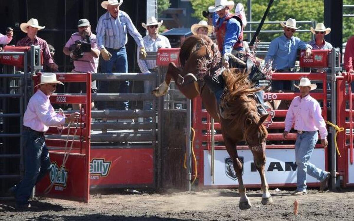 
The Fair’s rodeo Wranglers, pictured here dressed in pink shirts for breast cancer awareness, make sure the rodeo events run seamlessly for the patrons and contestants while also ensuring the safety and well-being of all the rodeo livestock.
