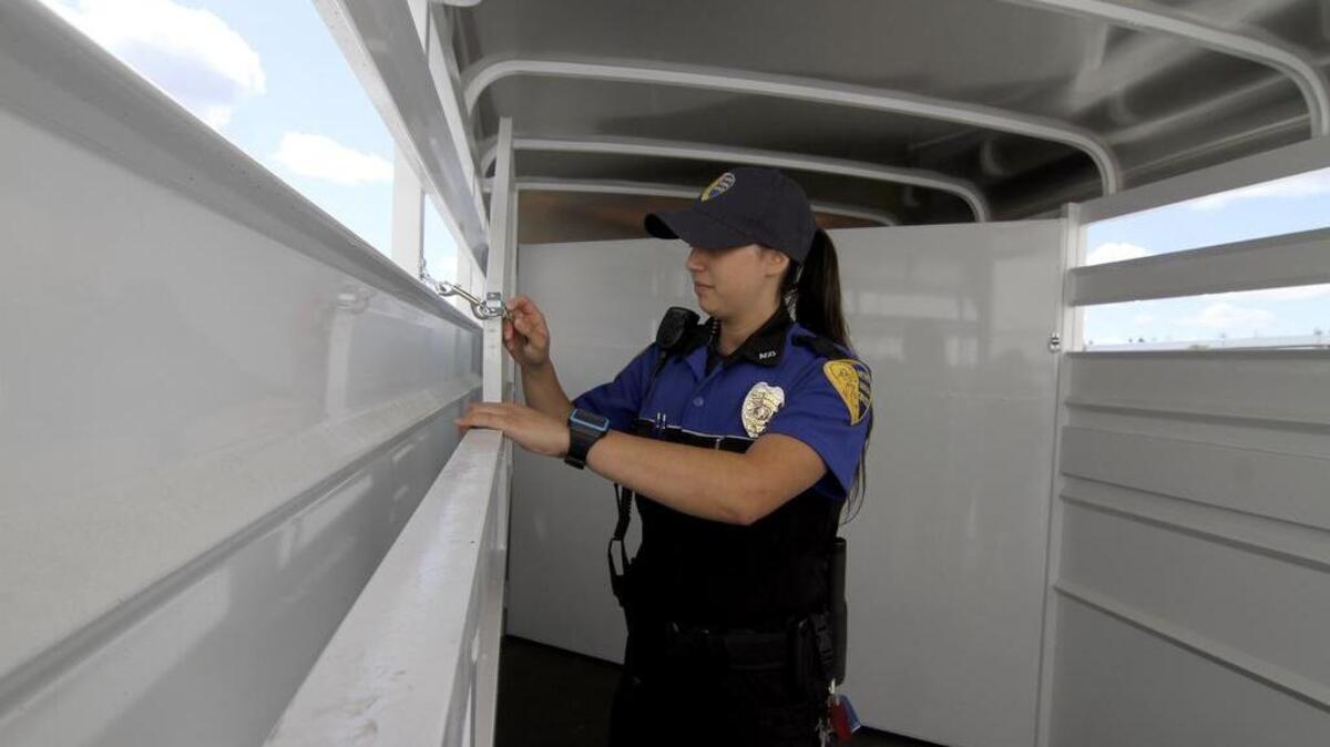 
A Metro Animal Shelter animal control officer looks over the new animal trailer the nonprofit Friends at Your Metro Animal Shelter (FAYMAS)purchased thanks to a grant from the Puyallup Tribe. The new trailer can accommodate larger animals encountered on calls that the shelter responds to.
