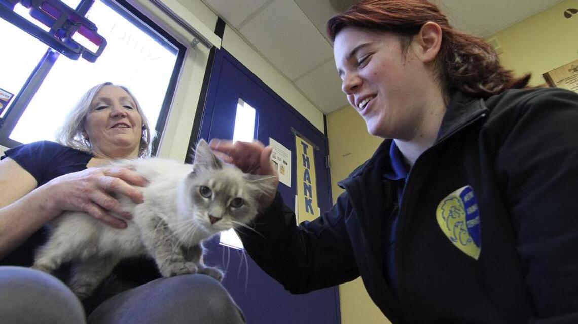 Mold prompted evacuation of this Pierce County animal shelter. When will it reopen?