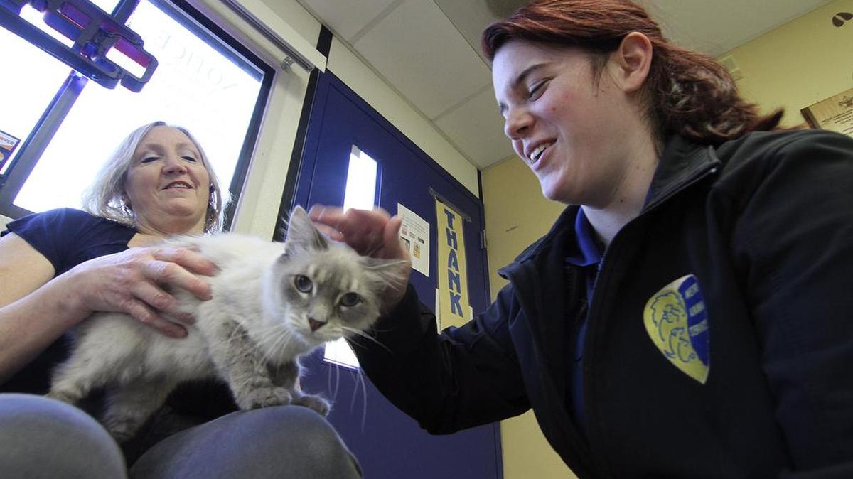 Metro Animal Services Shelter assistant Jennifer Rollins, right, pets Peewee the cat during a visit in 2016 with Peewee’s owner, Michelle Boudrie.