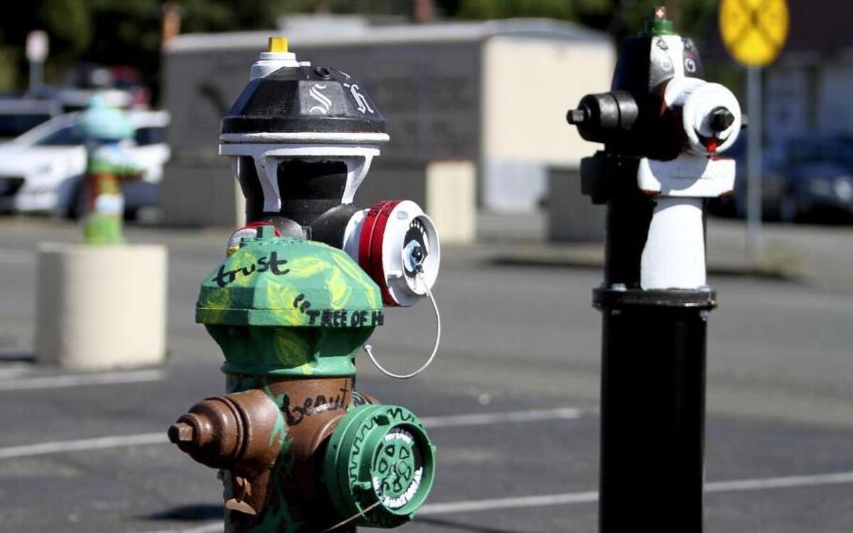 
Brightly painted inoperable fire hydrants have turned the out-of-service devices into colorful art in downtown Puyallup.

