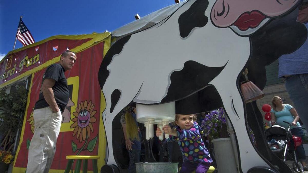 Lilly Pagan, 3, milks a plywood cutout cow during the annual Meeker Days Festival in 2014 at Pioneer Park in downtown Puyallup. With four stages of entertainment, 200 vendors and two food courts, Meeker Days is back this year with a couple of new additions.