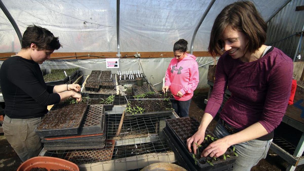 Mother Earth Farm intern Maddie DeShazo, left, seasonal farm assistant Melissa Stanley and farm manager Anika Moran, right, work on plant starts at one of the Mother Earth Farm greenhouses.