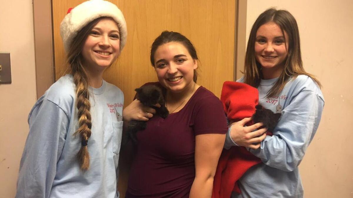 Puyallup High School Leadership students Abby Grimmestad, left, and Kaelee Huetten, right, care for the two kittens that were given to junior Juliana Cannella, center, as part of the Winter Wishes Program.