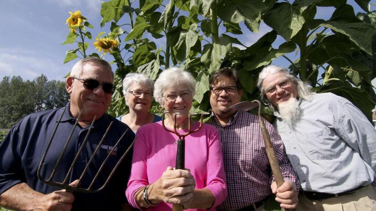 
Members of the Puyallup United Methodist Church Community Garden, also known as the PUMC Food Bank Community Garden, gather at the site last week. Church members have grown and donated hundreds of pounds of fresh produce to area food banks.
