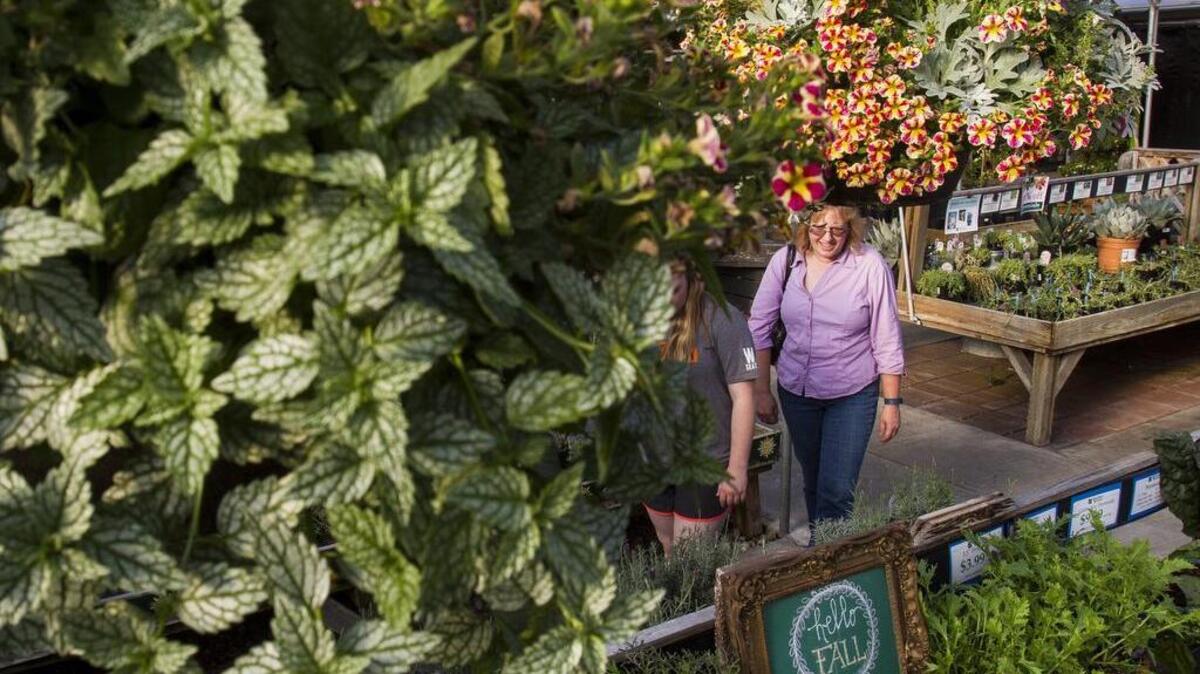 Pierce County nursery to close after 45 years, owner announces