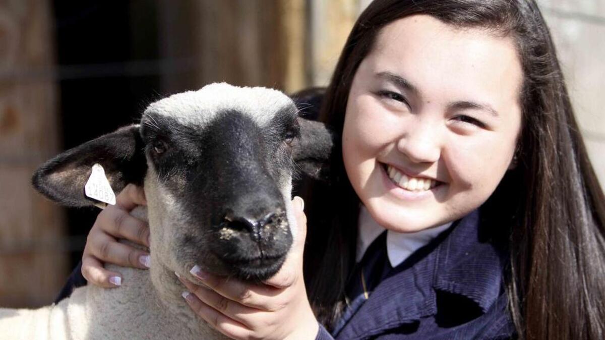 Sumner High School senior Alyssa McGee stays busy with not only school but raising her flock of 20 breeding sheep, a supervised agricultural experience project that she’s done as a member of her local Future Farmers of America chapter. McGee was recently selected as a 2016 U.S. Presidential Scholar — one of only 160 high school seniors selected in the nation.