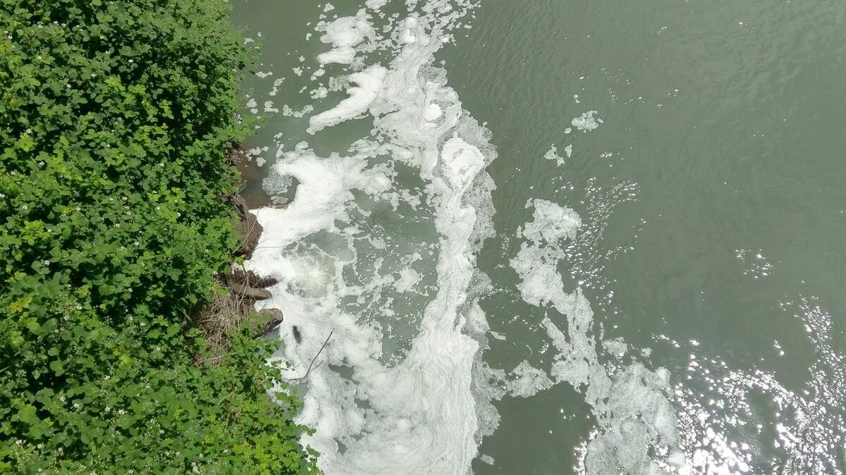 Hundreds of gallons of wastewater spilled into the White River in Sumner in May 2018. Fleischmann’s Vinegar Company, the company responsible for the spill, was fined $20,000 by the Department of Ecology. This is the company’s third violation of Washington’s water quality requirements.