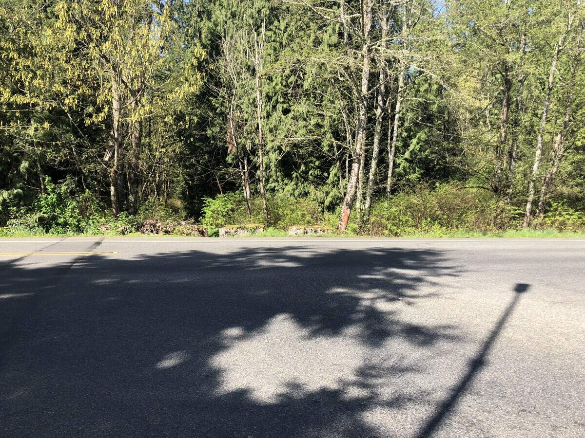 Two rectangular stones marks a wooded path students take to walk to Ferrucci Junior High School. Parents are concerned about people or animals that might be camping in the wooded area.