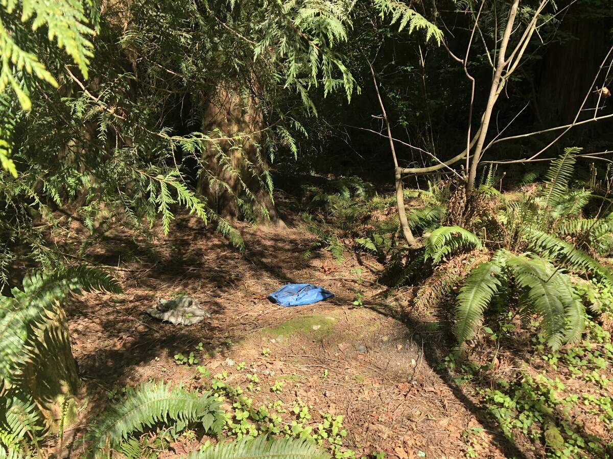 Pieces of tarp and clothing lie beside a path students take walking to Ferrucci Junior High School.