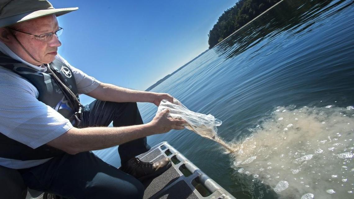 Pierce County Medical Examiner Thomas Clark releases a bag of unclaimed human remains from a Pierce County Sheriff’s boat into Puget Sound water on Wednesday, Aug. 17, 2016. He now stands accused of mishandling death investigations involving children.
