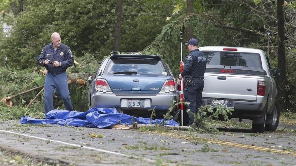 Pierce County sheriff’s deputies investigate the scene of an accident Aug. 29, 2015, where a tree fell onto the station wagon, left, leaving a 3-year-old unharmed but killing the child’s father, Jamie Fay.
