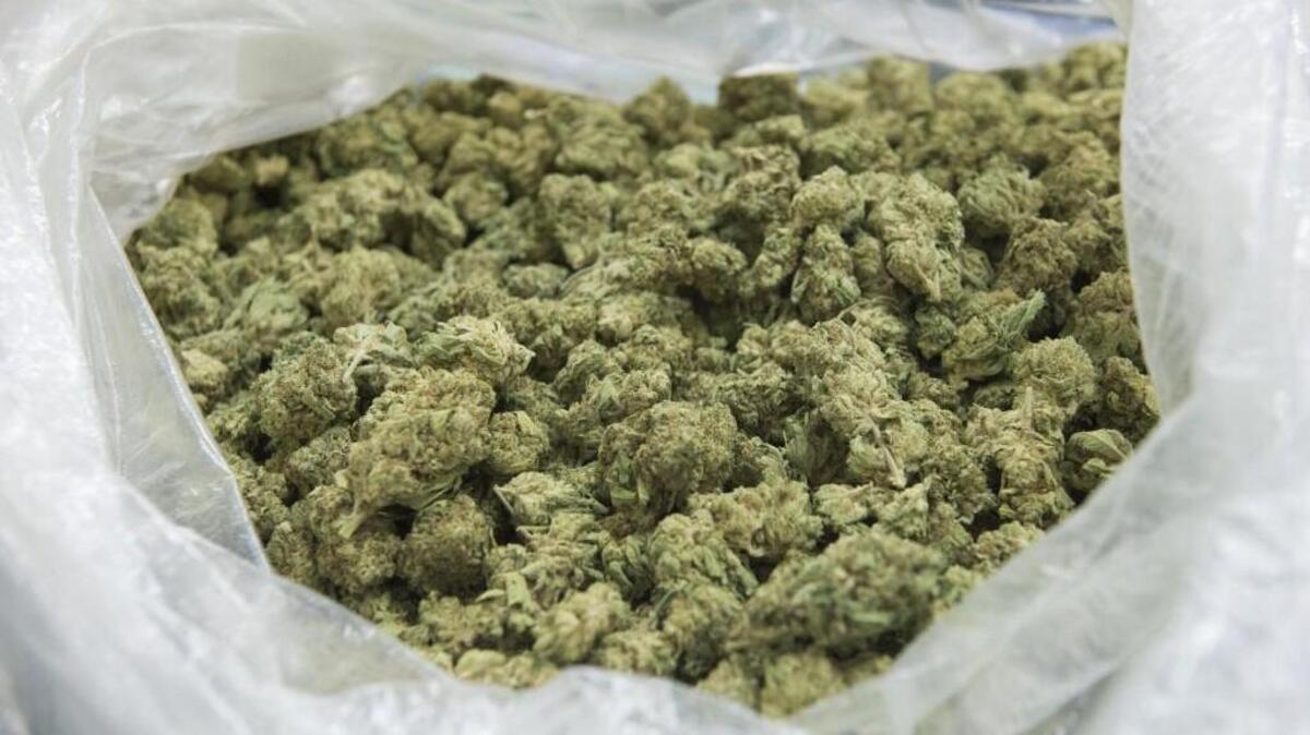 A man pulled over after a hit-and-run collision had 54 times the legal limit of THC (the active ingredient in marijuana) in his system, according to the State Patrol.