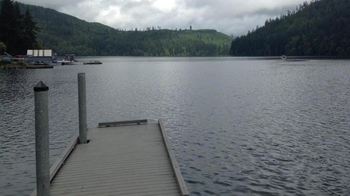 The search for a missing 54-year-old man continued Friday at Mineral Lake according to the Lewis County Sheriff Chief Dusty Breen.