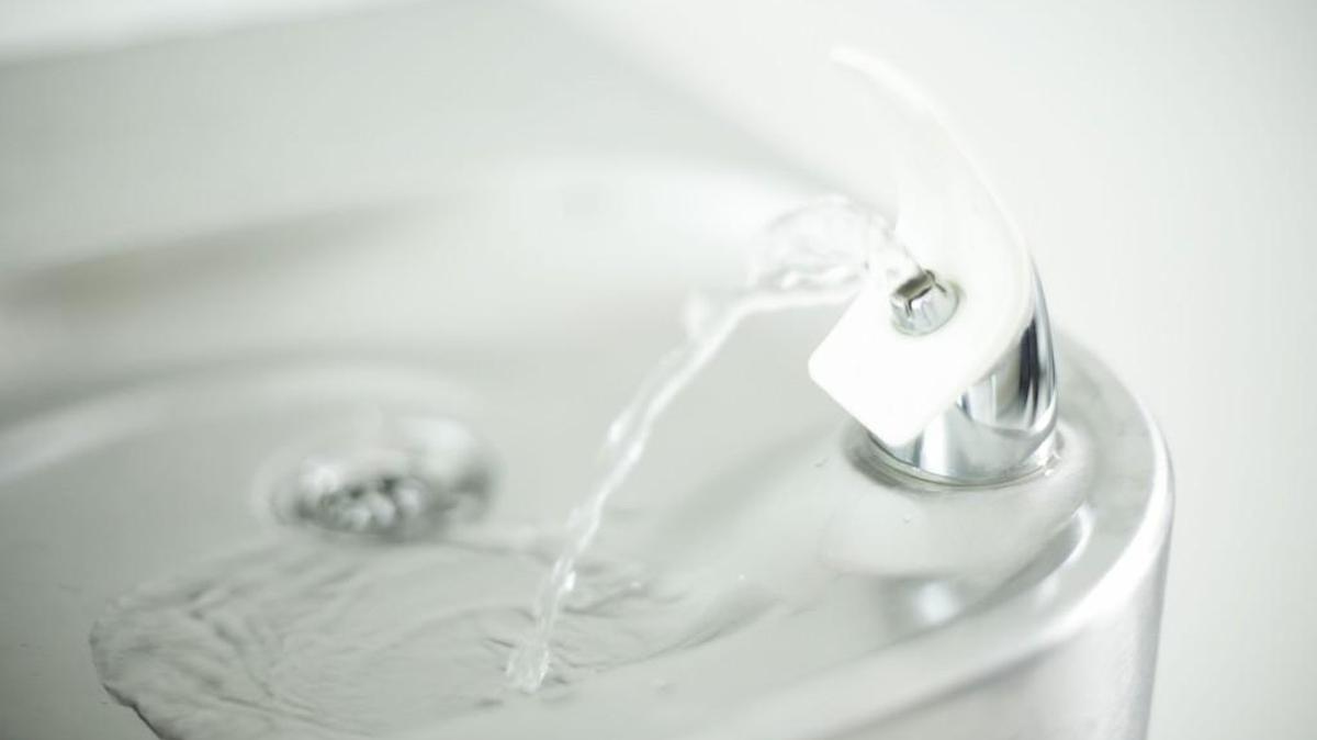 Tacoma Public Schools could not say Monday why tests showing high lead levels at Reed and Mann elementary schools were not shared with parents last year.