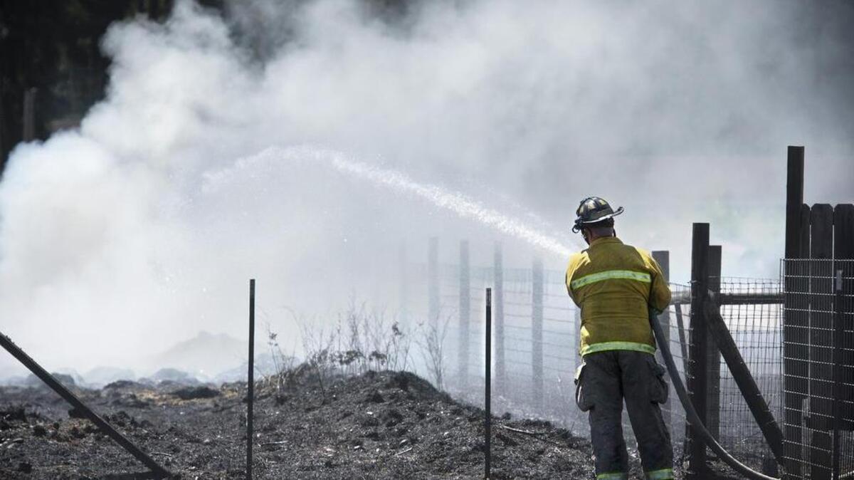 
A West Thurston firefighter hoses down hot spots at a grass fire that came within feet of several homes on Bonnie Lane in Rochester on Friday.
