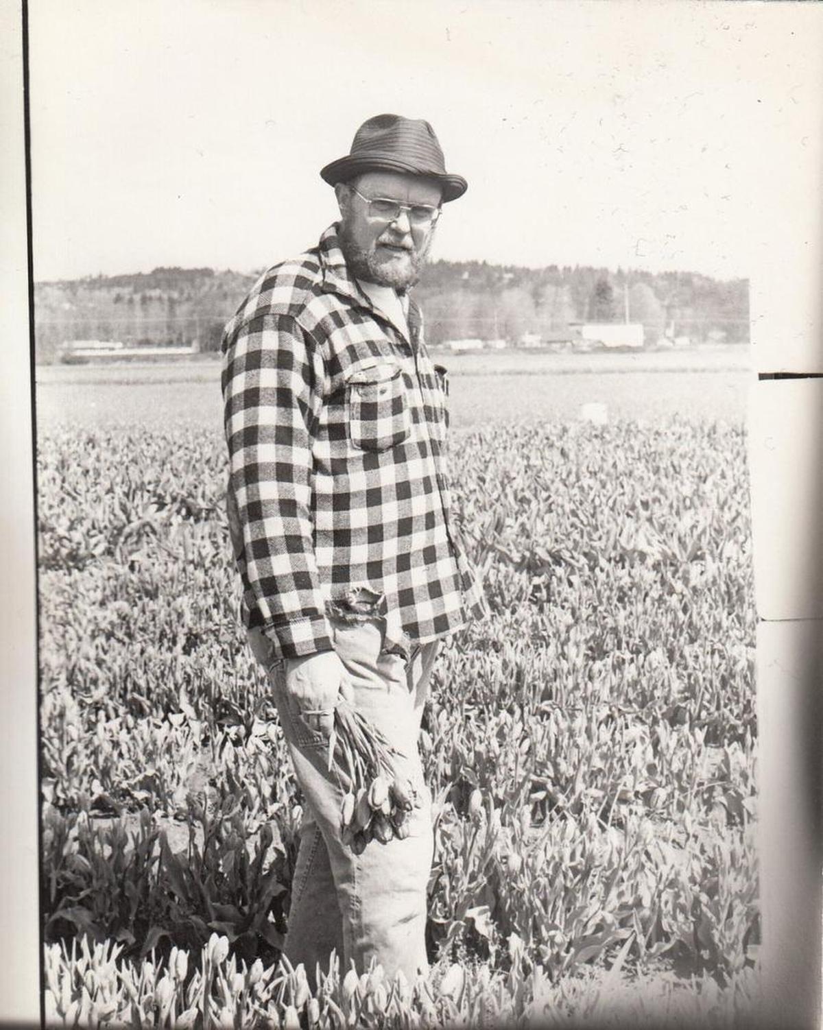 A young Neil Van Lierop is pictured in this undated photo among a field of tulips at the former Van Lierop Bulb Farm, which closed in 2013. Van Lierop is selling about 24 acres of his land to the city of Puyallup for $3.75 million. The city is plans to develop a park on 18 acres and sell the rest to nonprofit Step By Step for $1.25 million.
