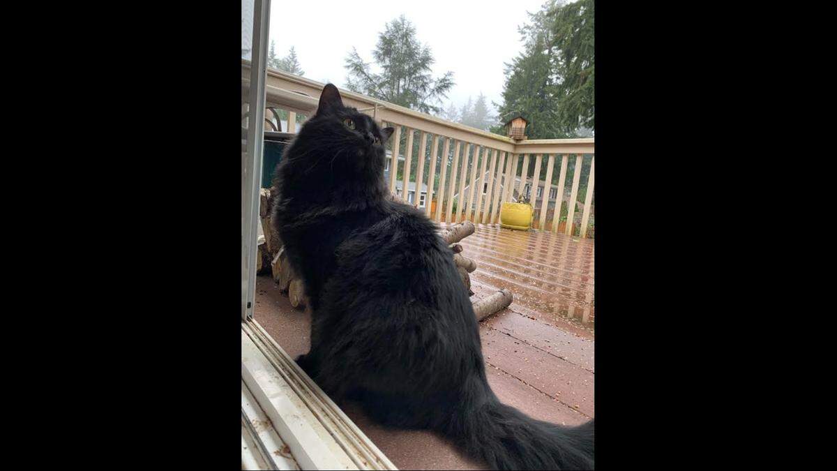 Kirby lives with Scott Craig in Tacoma.