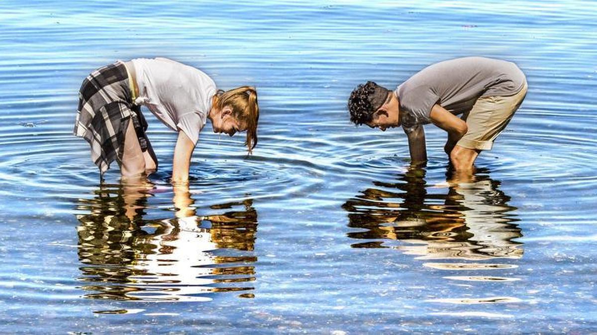Two Lacey residents enjoy the hot sunny weather while looking for crabs at Tolmie State Park in Olympia. Crabbing season begins in early July in many areas across Washington, but one marine area in the south Puget Sound area will remain closed.