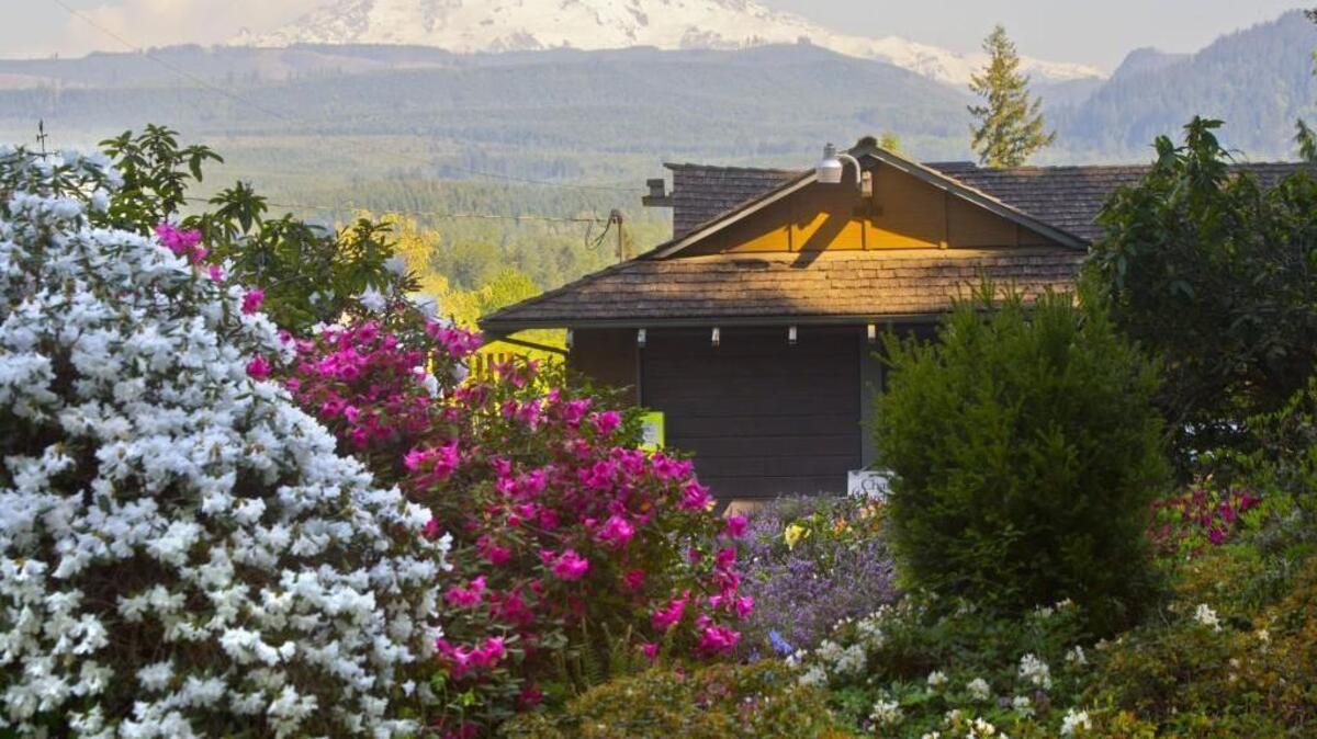 Flowers frame part of the Chase house with Mount Rainier in the background in Orting.