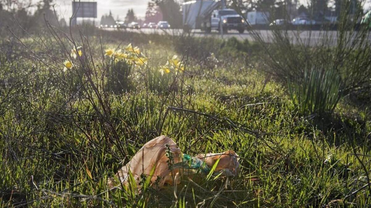 State policymakers want to extend the diversion of $5 million a year in litter-tax money to state parks, despite the awful mess along Washington state highways.