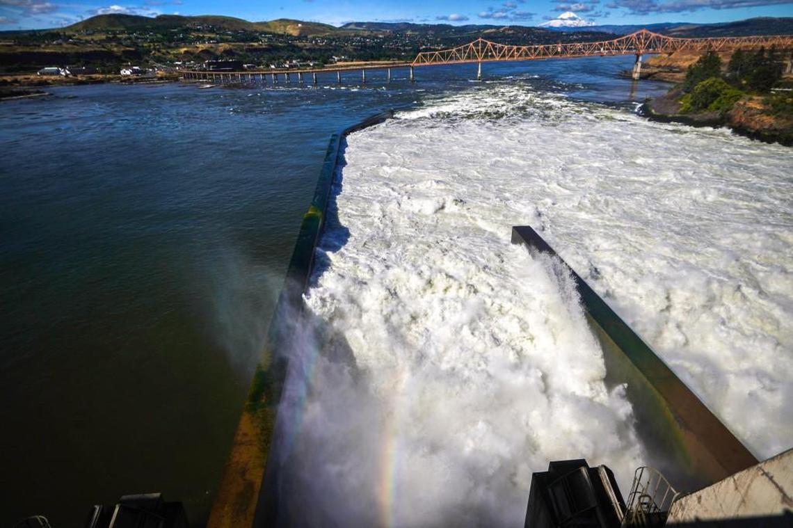 The Dalles Dam on the Columbia River, near The Dalles, Ore., is one of four dams on the river that is discharging illegal pollution and killing fish by the thousands, according to a suit filed Wednesday against the U.S. Army Corps of Engineers.