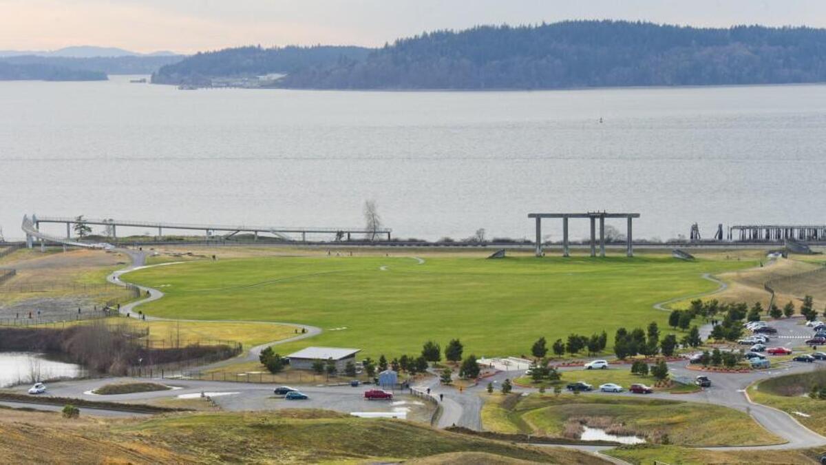 The Central Meadow at Chambers Bay in University Place is shown in this 2014 photo.