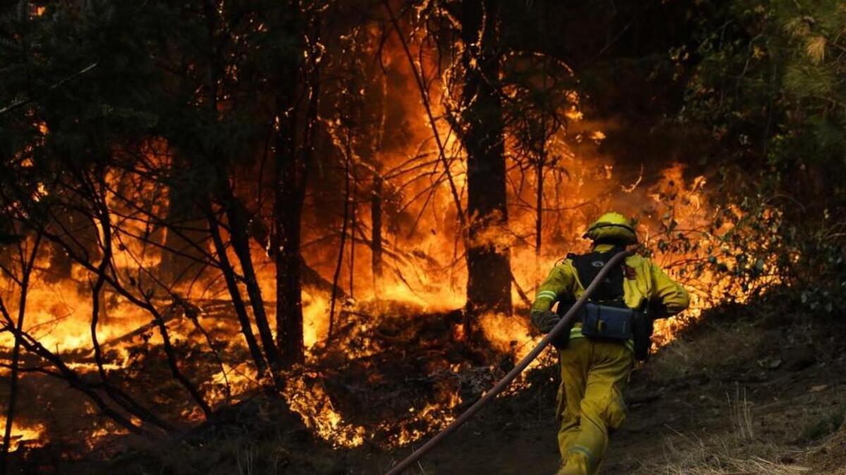 A firefighter carries a water hose to put out a fire burning along the Highway 29 Friday, Oct. 13, 2017, near Calistoga, California. A coalition of U.S. senators from Washington, Oregon and Idaho are advancing legislation to address wildfires in the West.