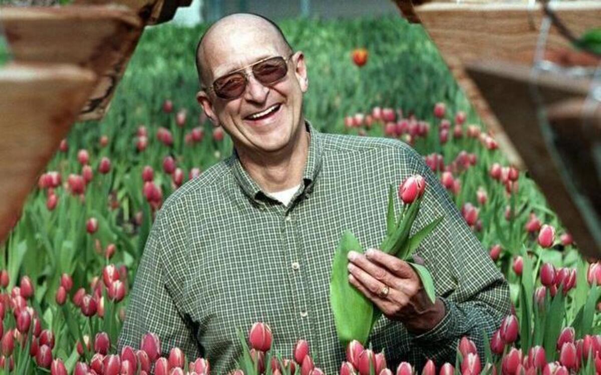 Tom Knutson stands in the middle of pink tulips growing in a greenhouse in 2001 at his Knutson Farms in Sumner. Traffic impacts from the farms’ transition to warehouses is causing friction between nearby Puyallup and Pierce County.