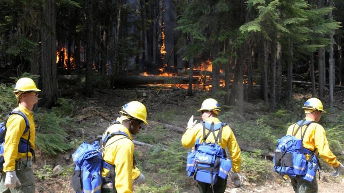 
Joint Base Lewis-McChord soldiers are back from a three-week assignment fighting wildfires in Eastern Washington. In this Oct. 24 image, troops walk past a wildfire burning in the Onata fire in the Colville National Forest.
