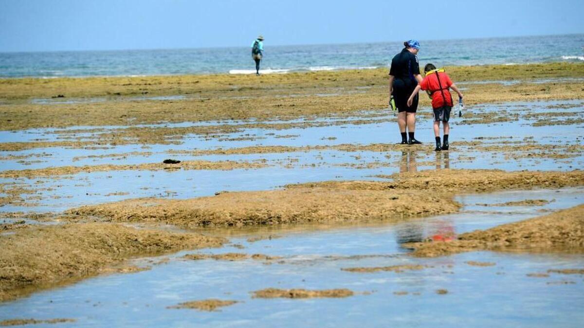 Becky Snider and son, Nathan, from Washington state, walk through Okinawa’s Maeda Flats, popular with Americans and locals on Okinawa.