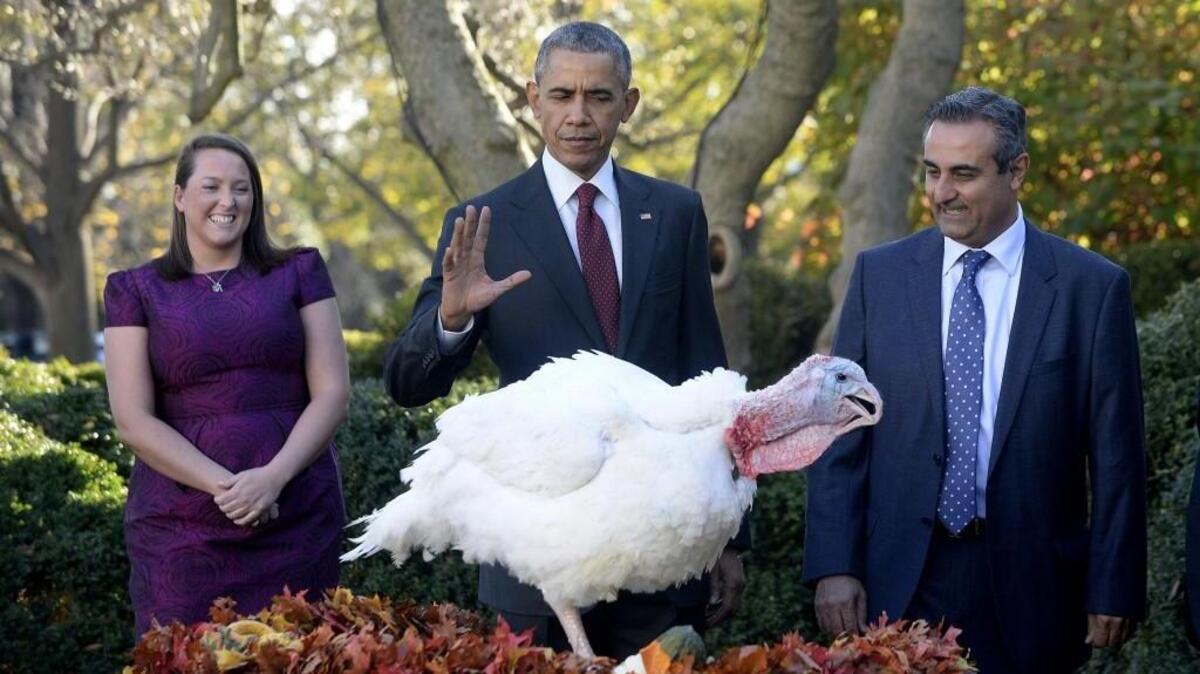 You don’t have to be a turkey pardoned by the president to have things to be thankful for.