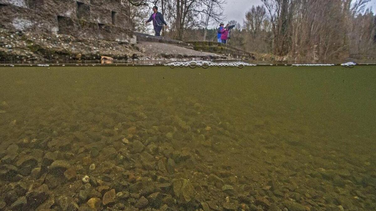 The water in Waughop Lake in Fort Steilacoom Park looks clouded with algae Tuesday. New monitoring shows sediment in the lake causes the algae.
