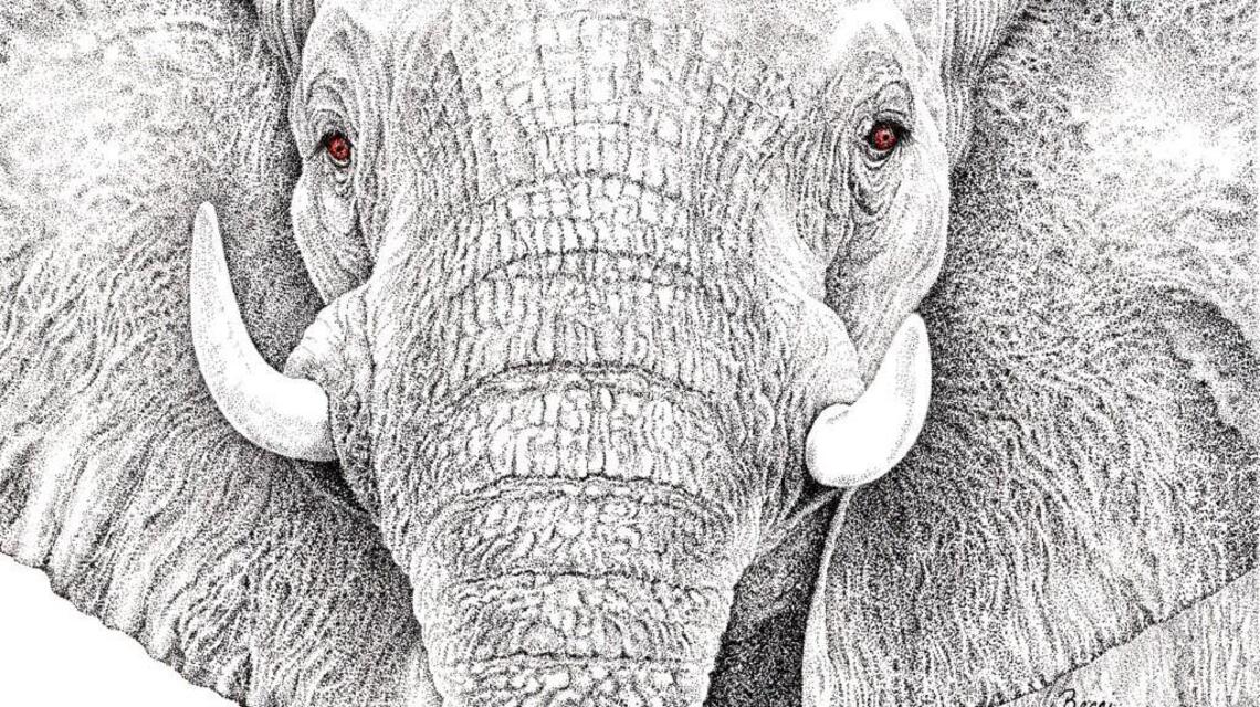 Larry LaRue: Puyallup pointellist artist connects the dots for naturalist Jane Goodall