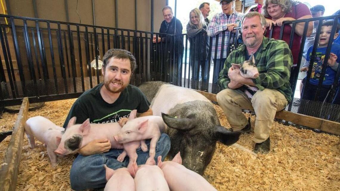 Larry LaRue: Since 1960, one Edgewood family has filled Puyallup fair with piglets