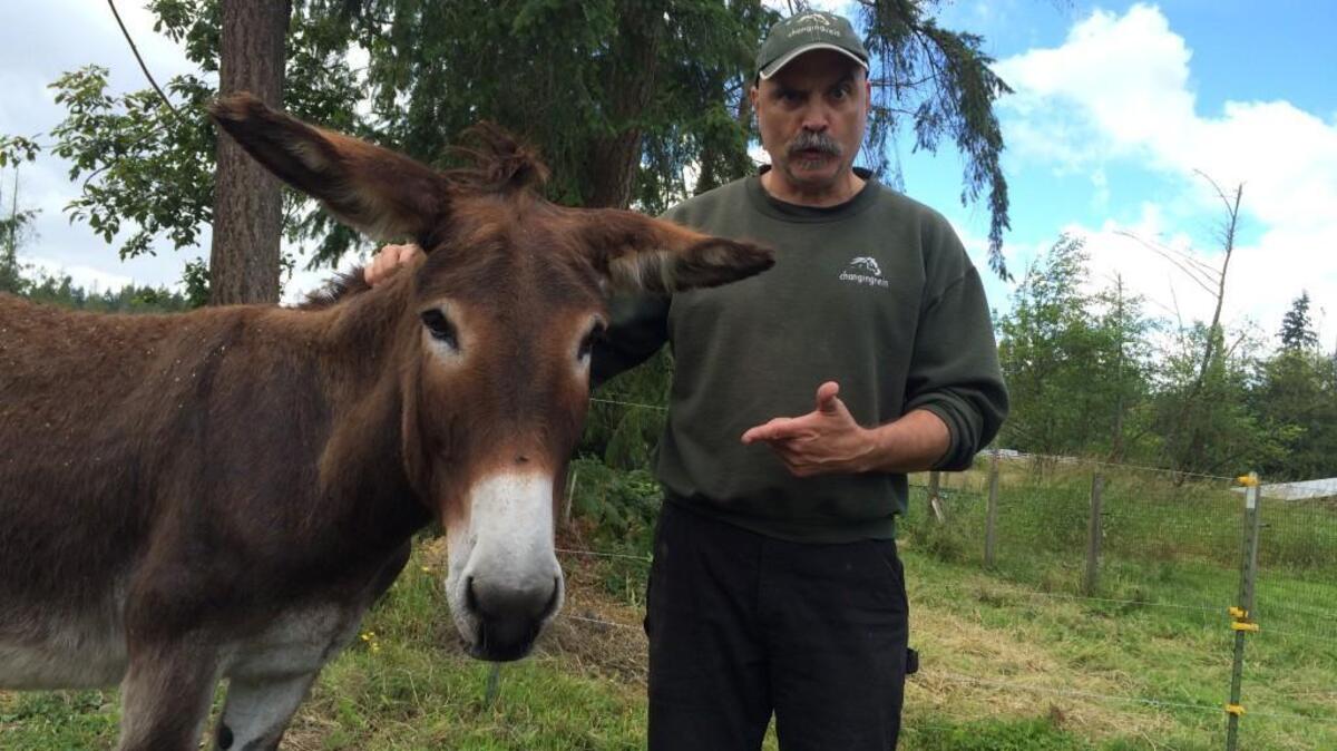 Former Tacoma City Councilman David Boe pictured with Ida the donkey on the ranch where his wife, Sandra, runs the Changing Rein program.