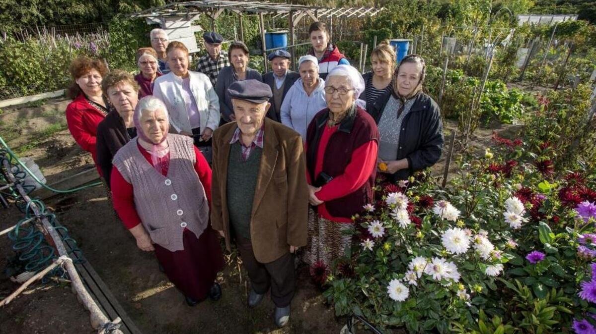 Russian and Ukranian immigrants who have worked more than an acre of land at Tacoma Community College for years banded together after the garden was nearly bulldozed last fall. Their garden will now have official status, leadership and rules.