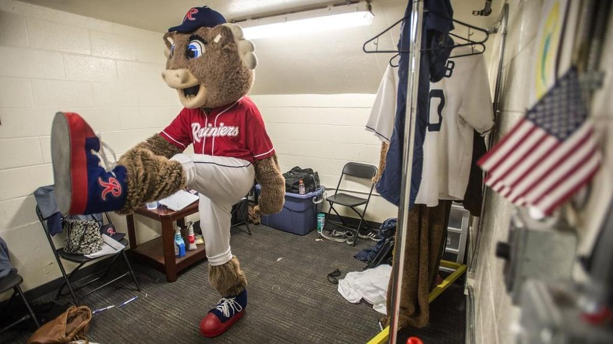 Rhubarb does his pregame stretches to loosen up before last year’s Tacoma Rainier’s home opener at Cheney Stadium.