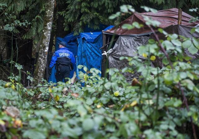 Pierce County has a $50 million plan for a microhome village | Tacoma ...