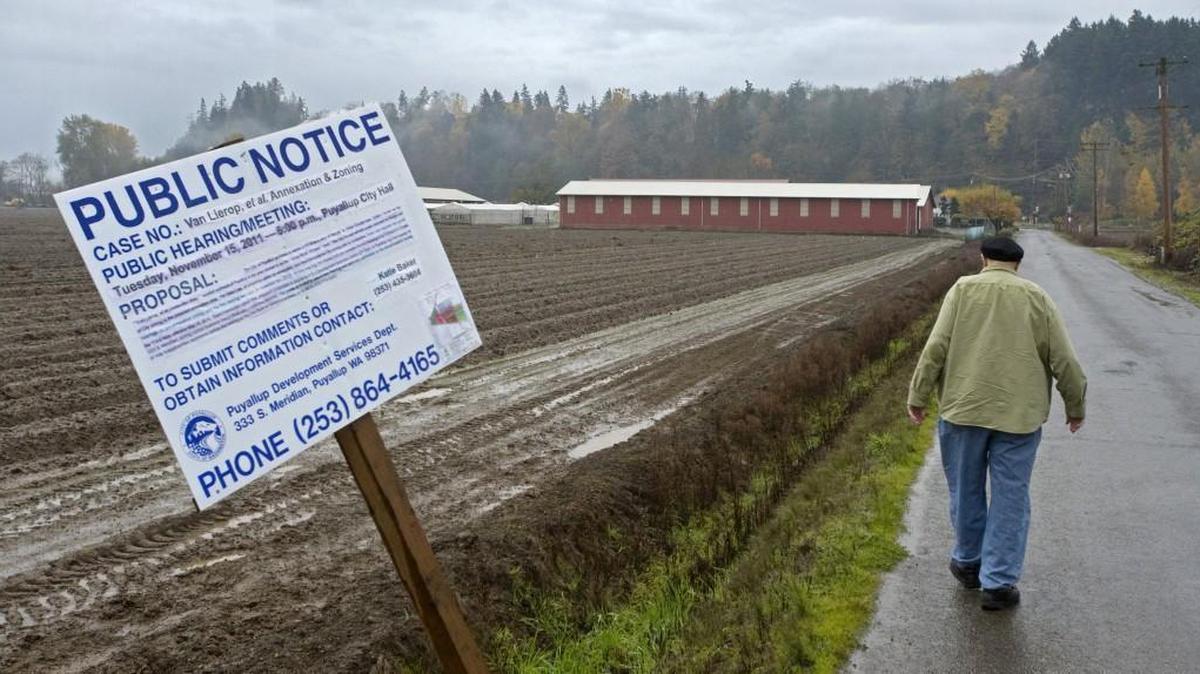 Neil Van Lierop walks his daffodil farm property in 2011 after the City of Puyallup annexed and rezoned his property. That was the beginning of a long, contentious journey that is now leading to the sale of 24 acres to the city.