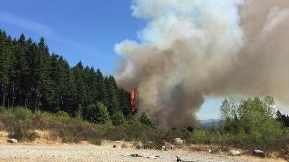 
Brush fire near Emerald Ridge High School in South Hill.

