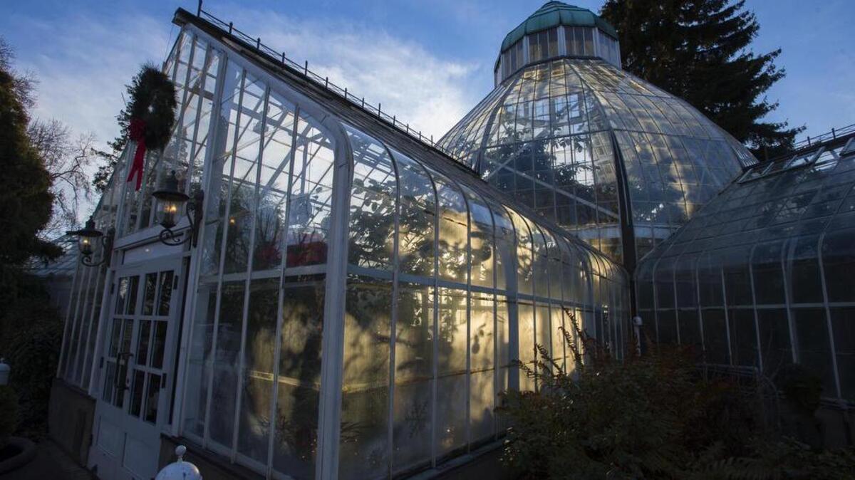 A last ray of sunlight illuminates the interior of the Seymour Conservatory. “This is one of three Victorian conservatories on the West Coast,” said Metro Park natural resources manager Joe Brady. “How many other cities have something like this?” The conservatory will soon become bigger and better. Residents have a chance to give input on the new design.