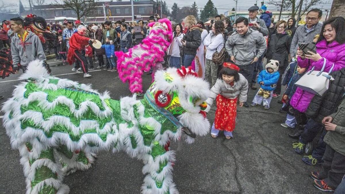 Vicky Nguyen, 9 of Puyallup, feeds a money offering to a Lion Saturday during the 2016 Lunar New Year celebration in the Lincoln Business District of Tacoma.