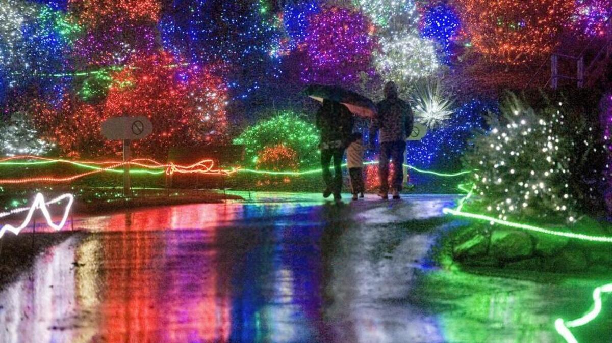 Zoolights at Pt. Defiance Zoo & Aquarium