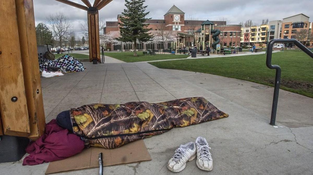 Neighbors near Pioneer Park and the Puyallup Library are concerned about an influx of homeless people in the park at night, sleeping on the stage and at the entryway to the library. Emerald Ridge High School graduate Dennis Lindstrom, 25, had only a thin sleeping bag and a protest sign between him and the concrete Friday.