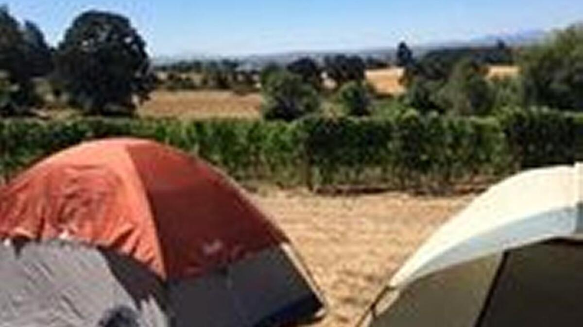 Campers coming for Monday’s solar eclipse have started setting in vineyards near Salem, Oregon.
