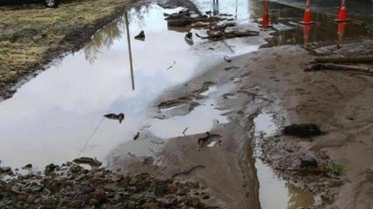 A landslide blocked state Route 7 between Elbe and Morton on Sunday afternoon, according to a tweet by Pierce County Professional Firefighters.
