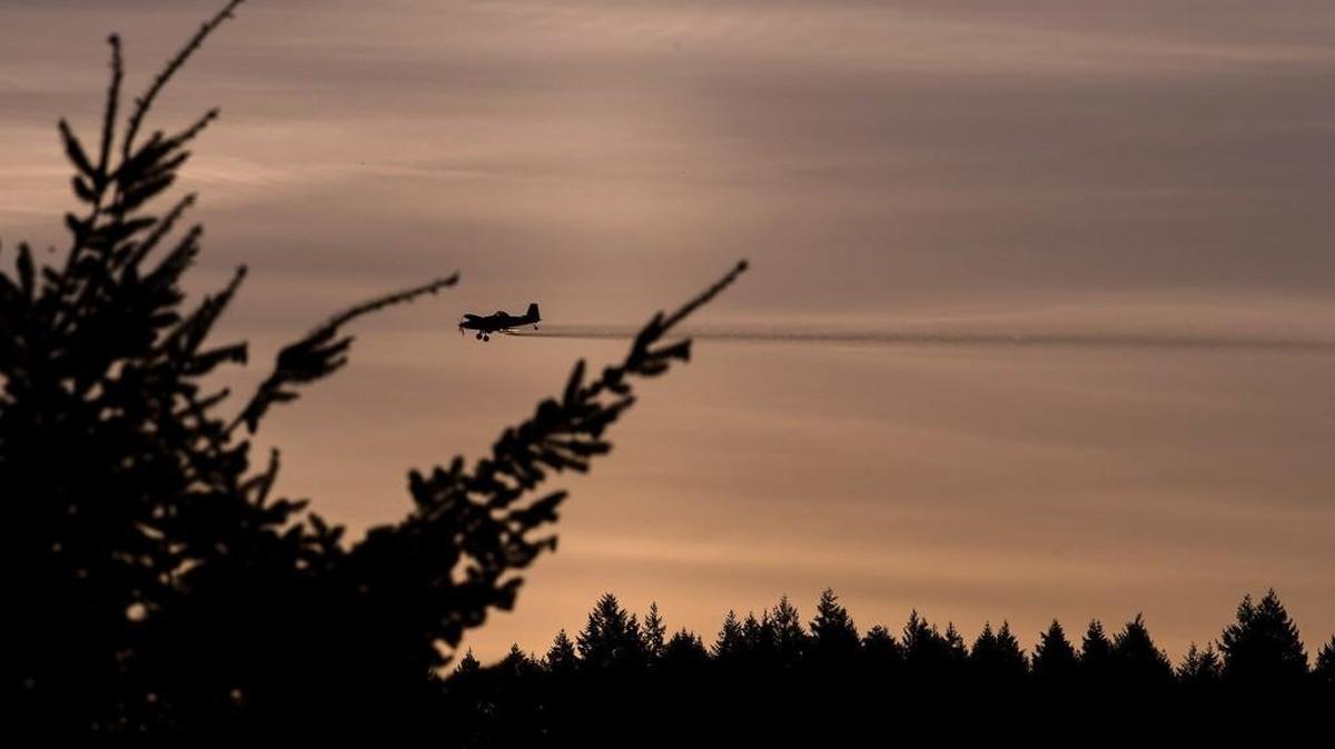 The state Department of Agriculture conducts aerial spraying of pesticides Monday in Gig Harbor to help control the invasive Asian gypsy moth.