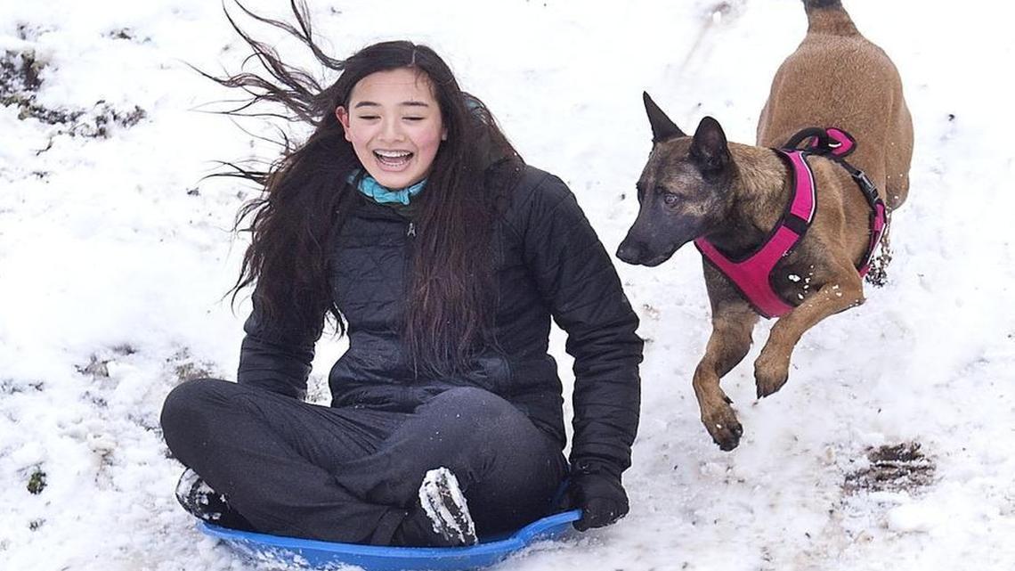 Lani Matthews, 13, is chased down the Buckley Cemetery hill by her dog, Kona, in February. A study finds a link between interactions with nature and happiness for people in the Puget Sound area.